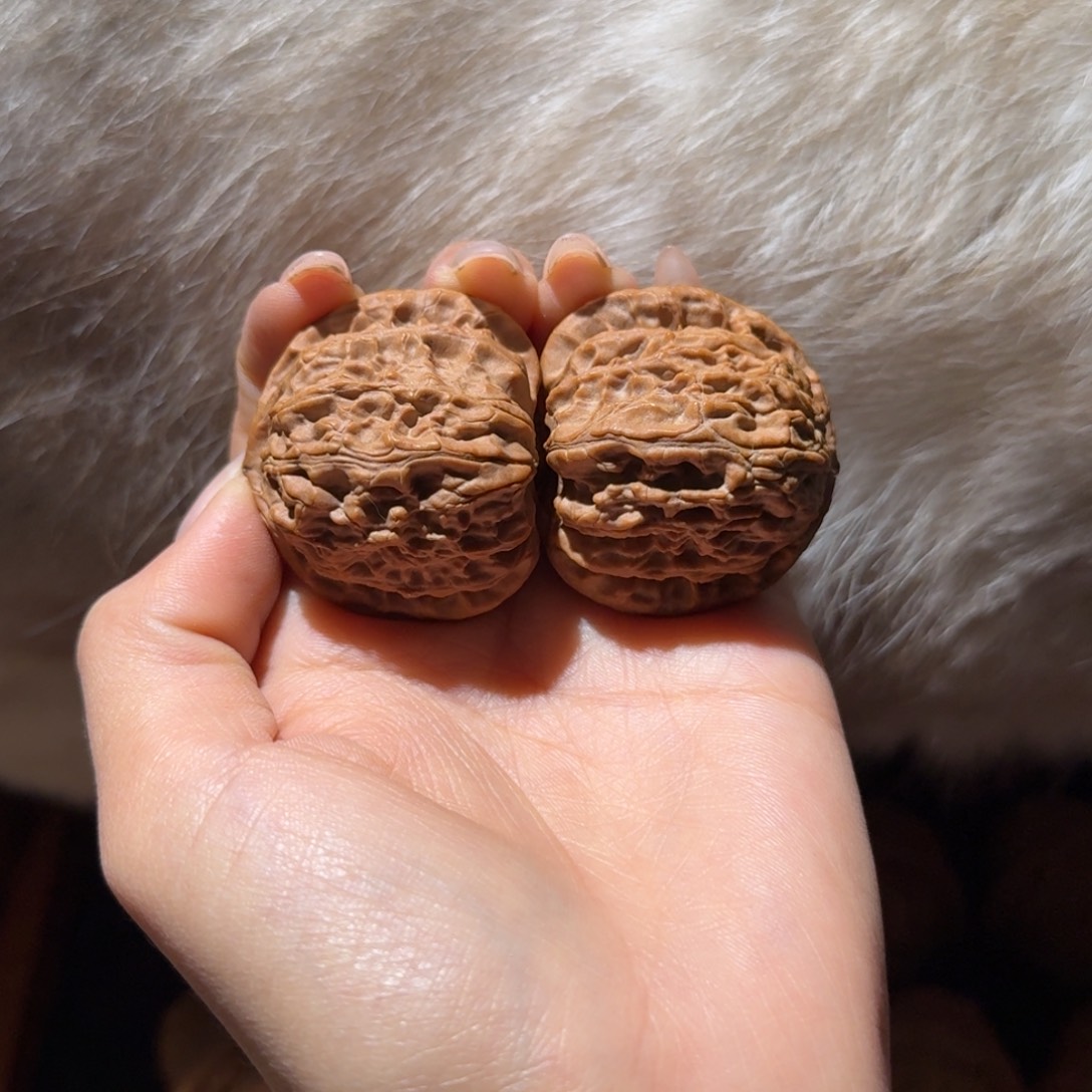 -***o吊坠文玩核桃38全品角白