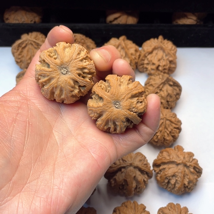 文玩核桃吊坠@****@文玩城的小伙伴们