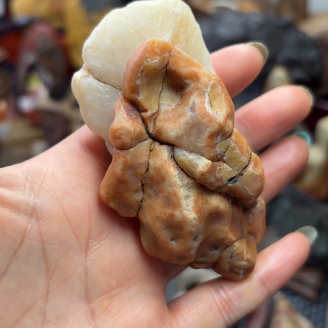 新疆地表原石奇石