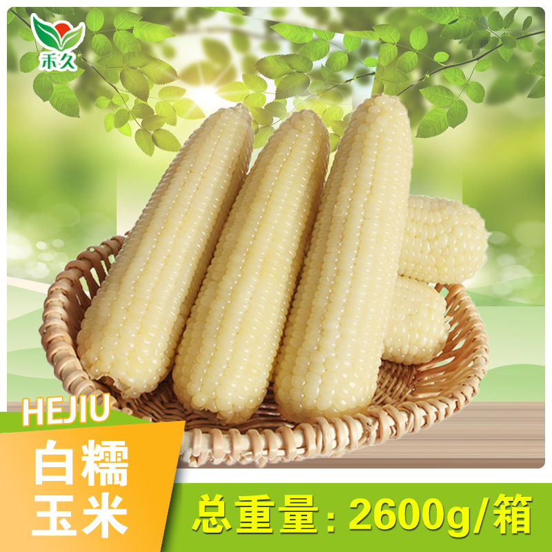 【禾久】白糯玉米 均重260g*10根/箱（整箱2.6kg) 商品图