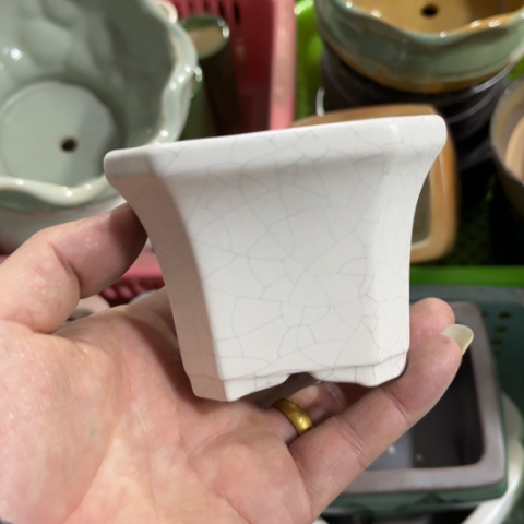 ［所有订单凑满15明天发］8×7