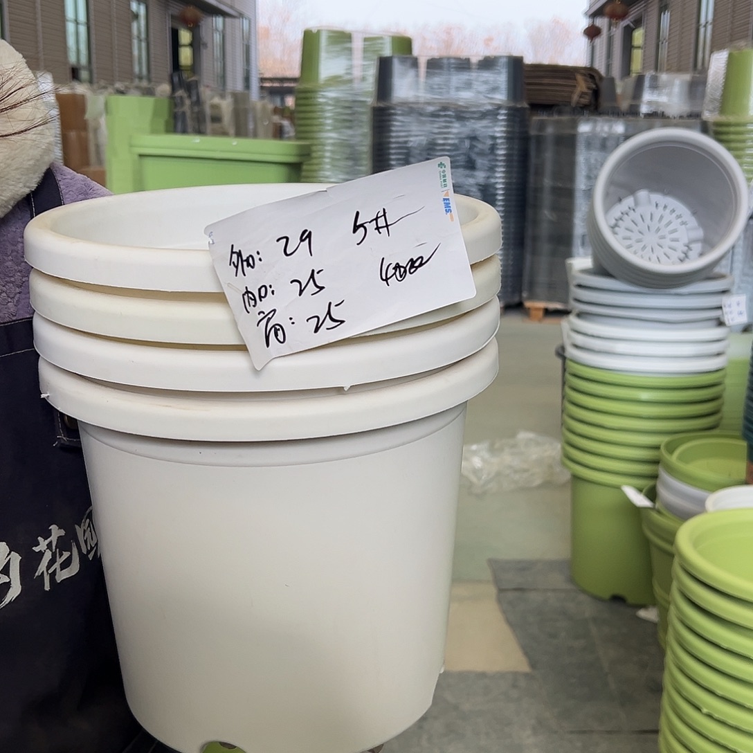 四季盆5#白色6个无托