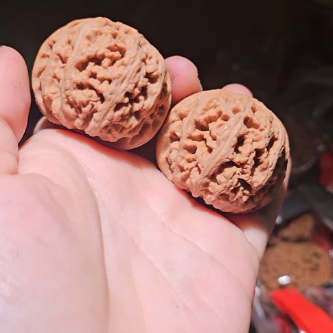 杨***多文玩核桃吊坠40粗筋