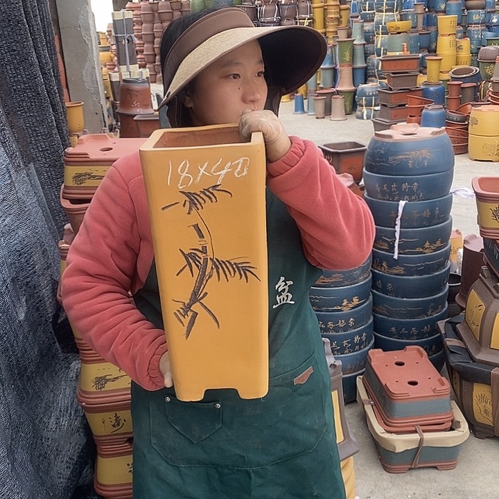 紫砂花盆紫砂花盆