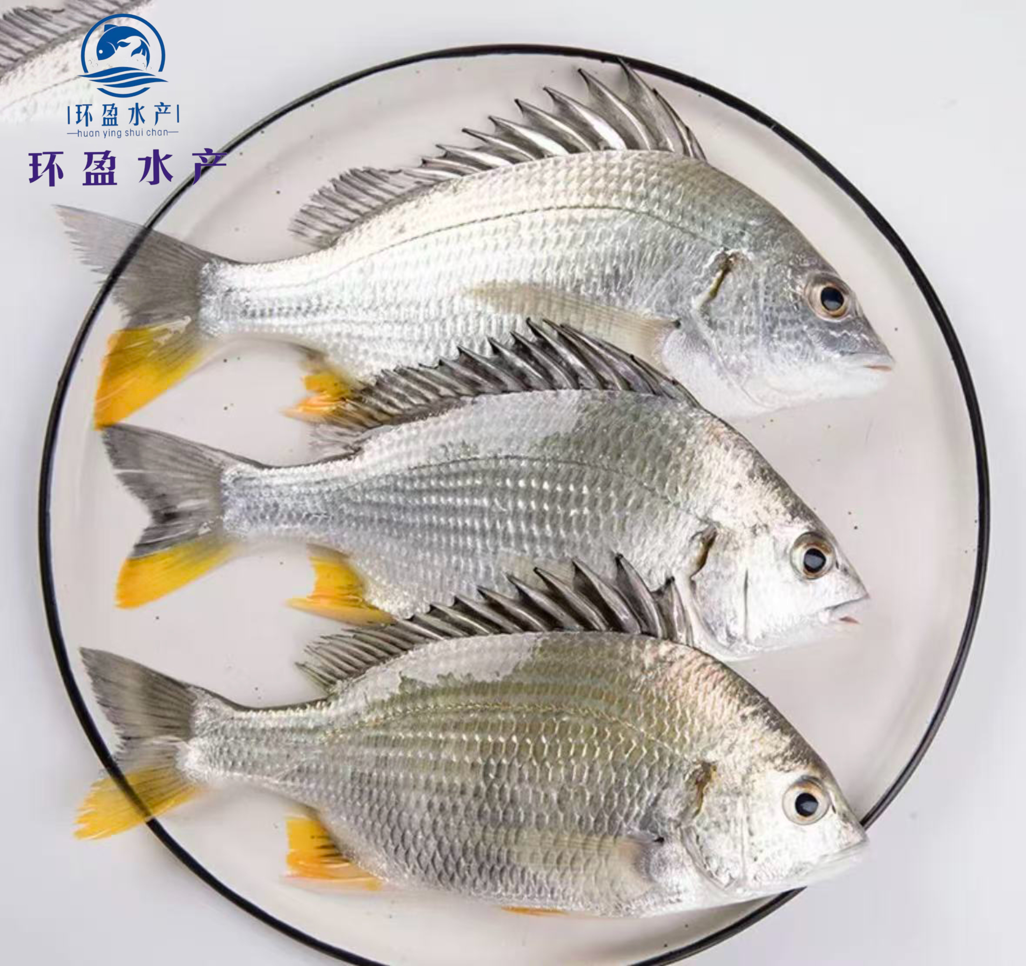 速冻 深海野生黄翅鱼125g-200g/条  顺丰包邮