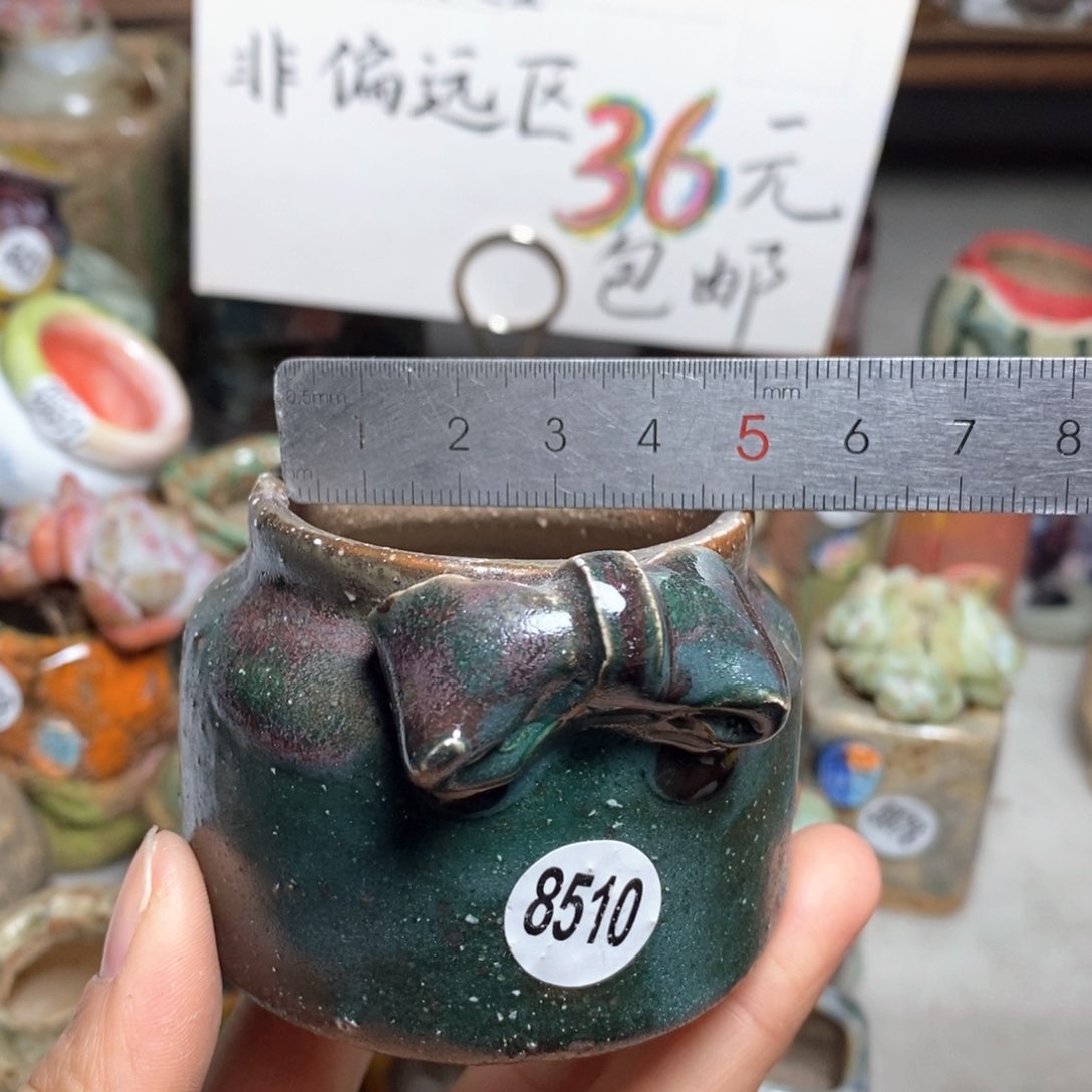 花盆拍5个送一个小礼物