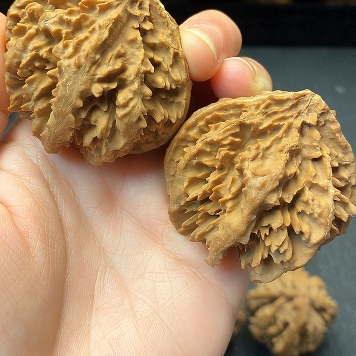 这些是因为自己没有理由放弃我