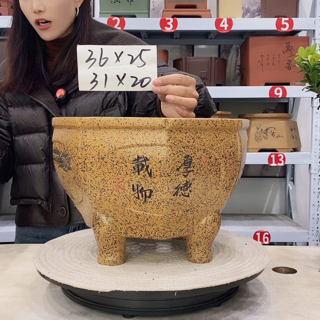 紫砂花盆紫砂花盆