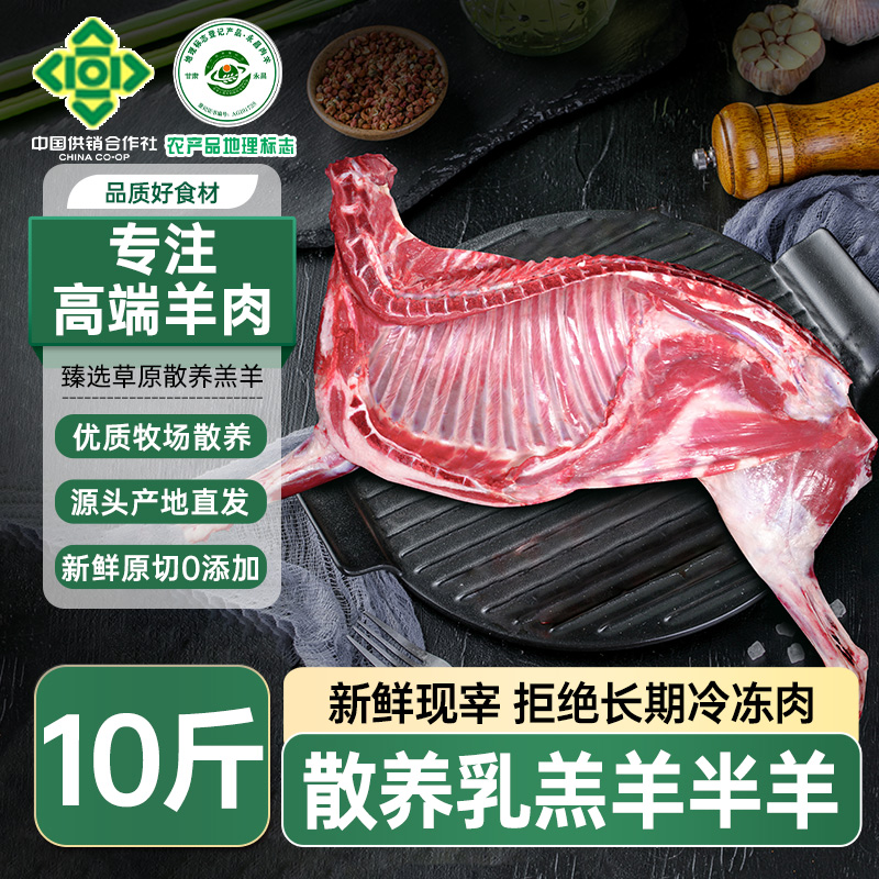 【净重10斤】甘肃永昌肉羊地标羊肉新鲜散养10斤半只羊切块装