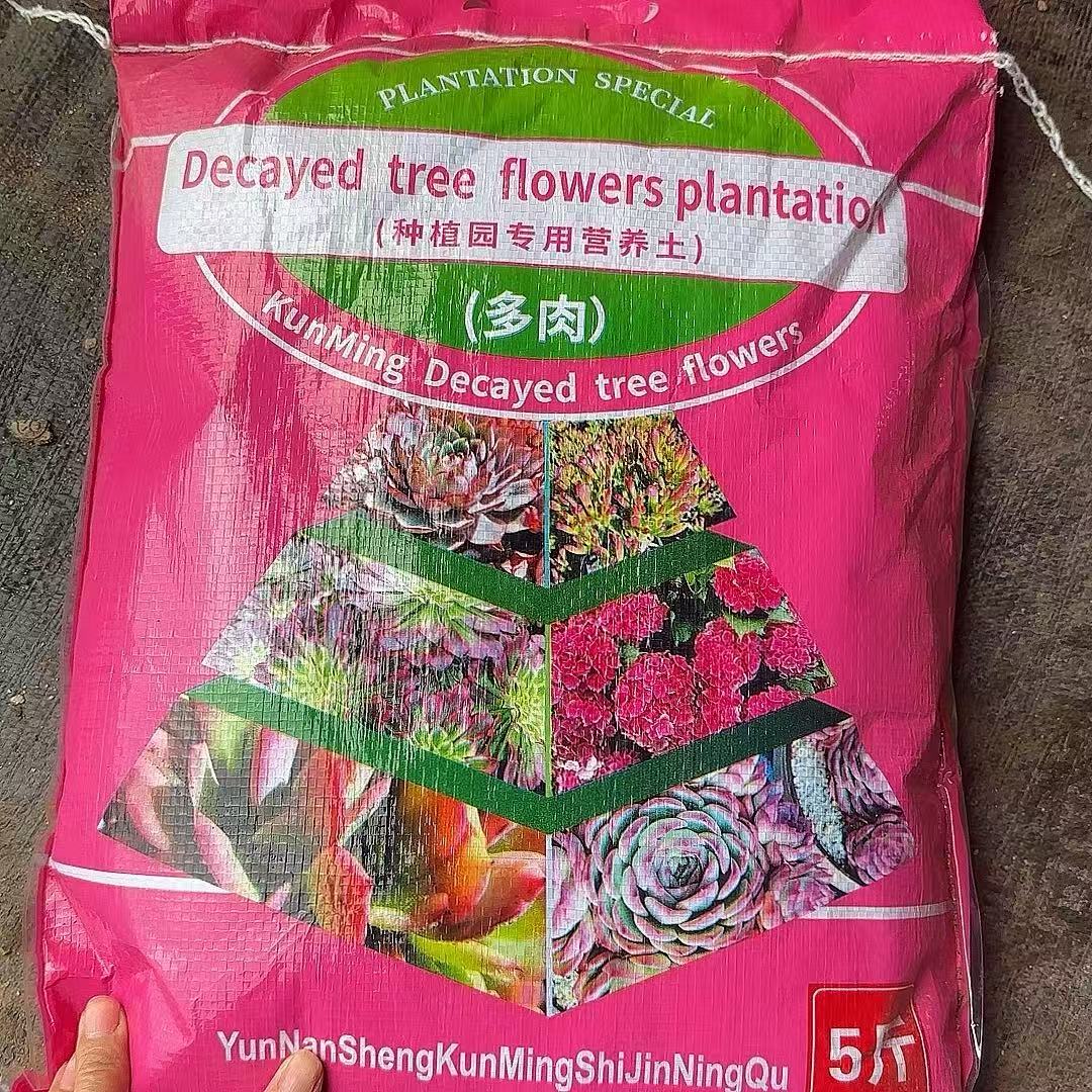 多肉营养土  灵峰多肉净化空气