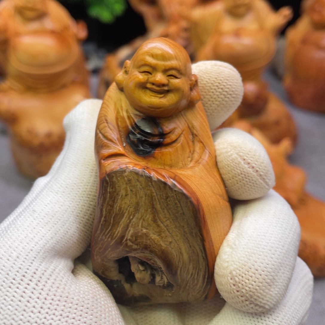 柏木太行崖柏成不饿