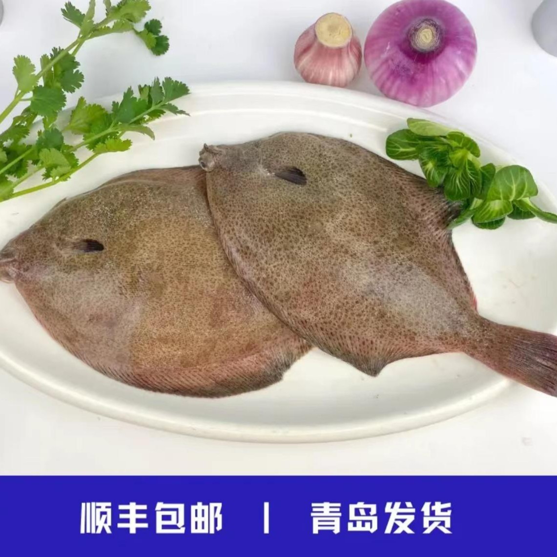 野生鼓眼鱼/高眼鱼（每斤7-10条）共6斤 鲜鱼速冻后青岛发顺丰