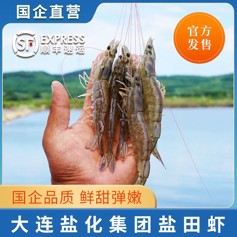 3斤复州湾盐场盐田虾(平均20-25只/斤)【有大有小】【能拍就能发】