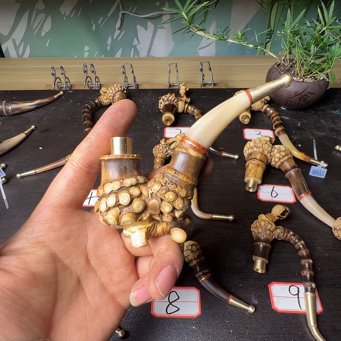 风***程竹类，，，，，，，，，，，，