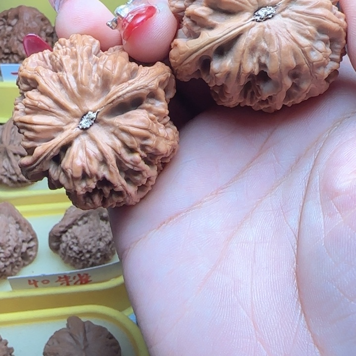 难***经弯弯核桃大抽筋抽筋