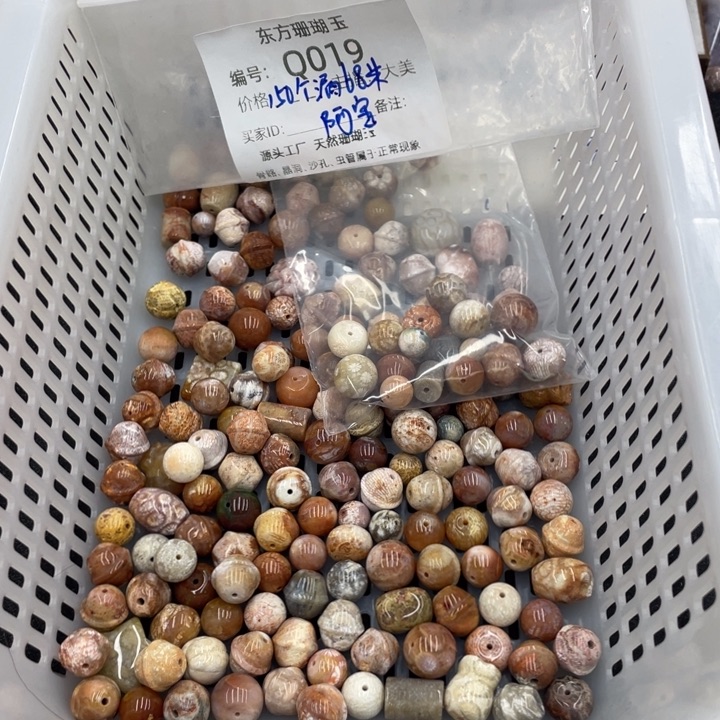 阿***宝硅化珊瑚（珊瑚玉）合金颈饰