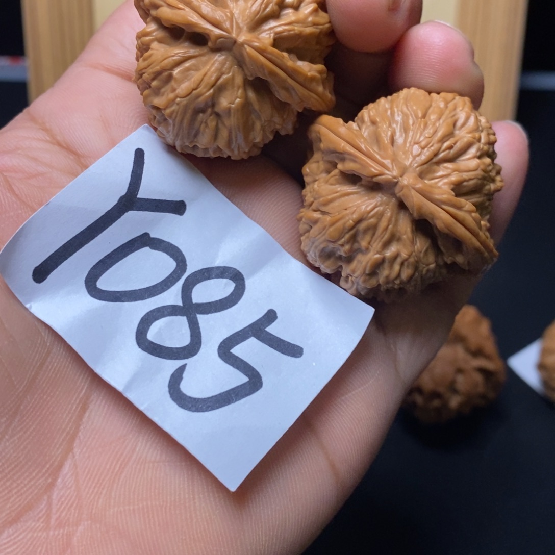 把件文玩核桃白狮子38尺