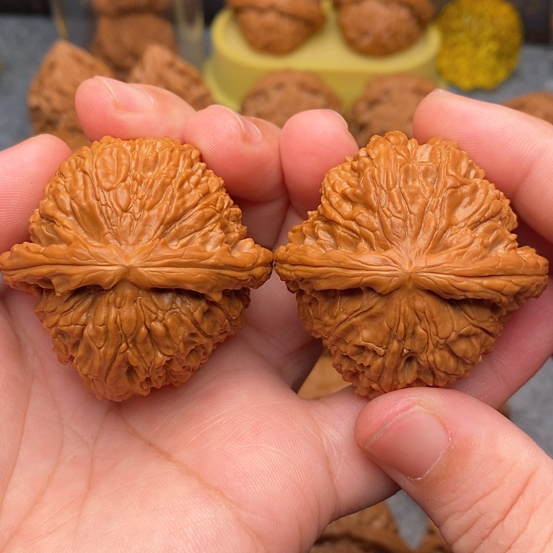 文玩核桃把件45精品毕业白狮子