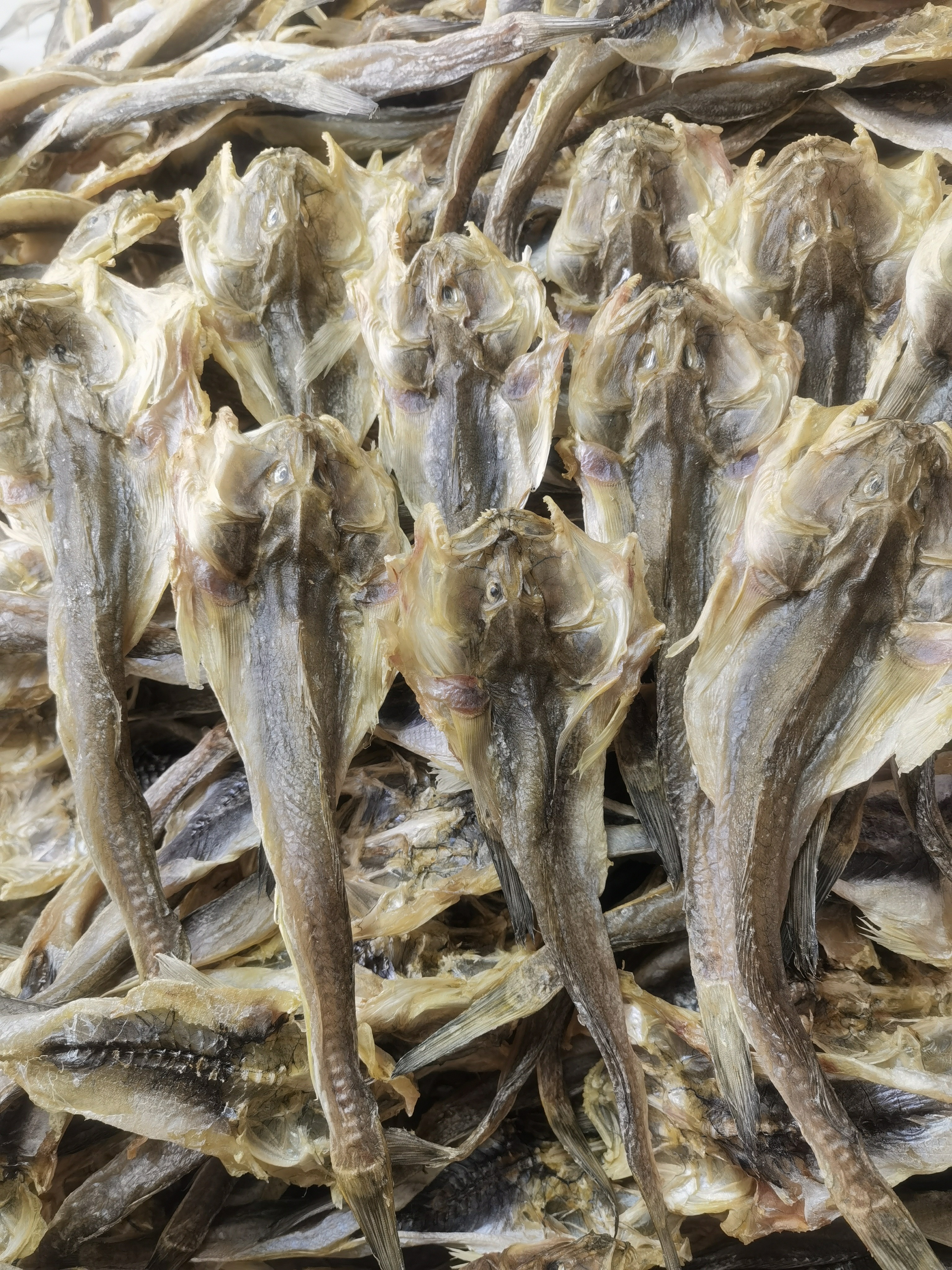 东港特产大号胖头鱼干一斤15-18条