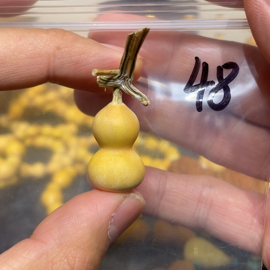 葫芦葫芦葫芦葫芦草里金48号