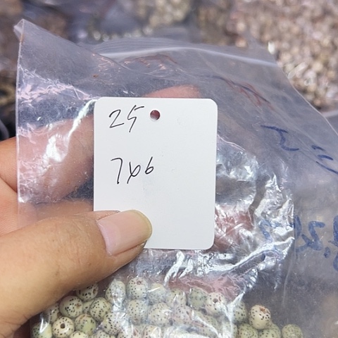 吊坠星月菩提25号