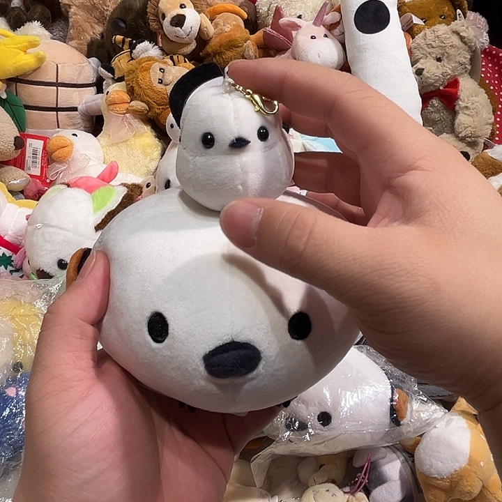 毛绒两只哈哈哈哈哈哈