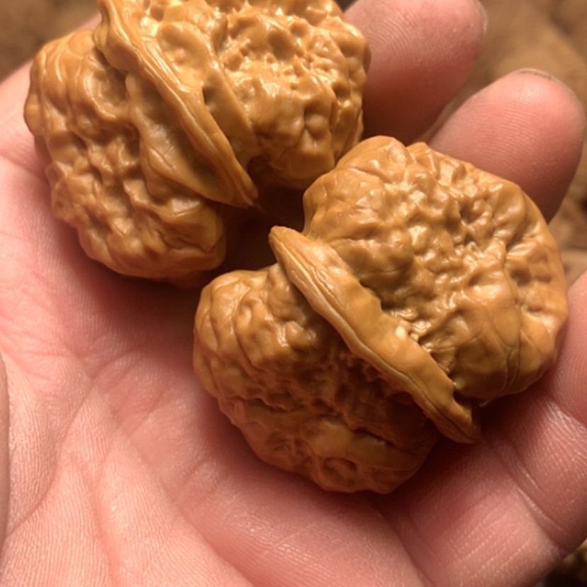 【闪购商品】伴**月蛤蟆头