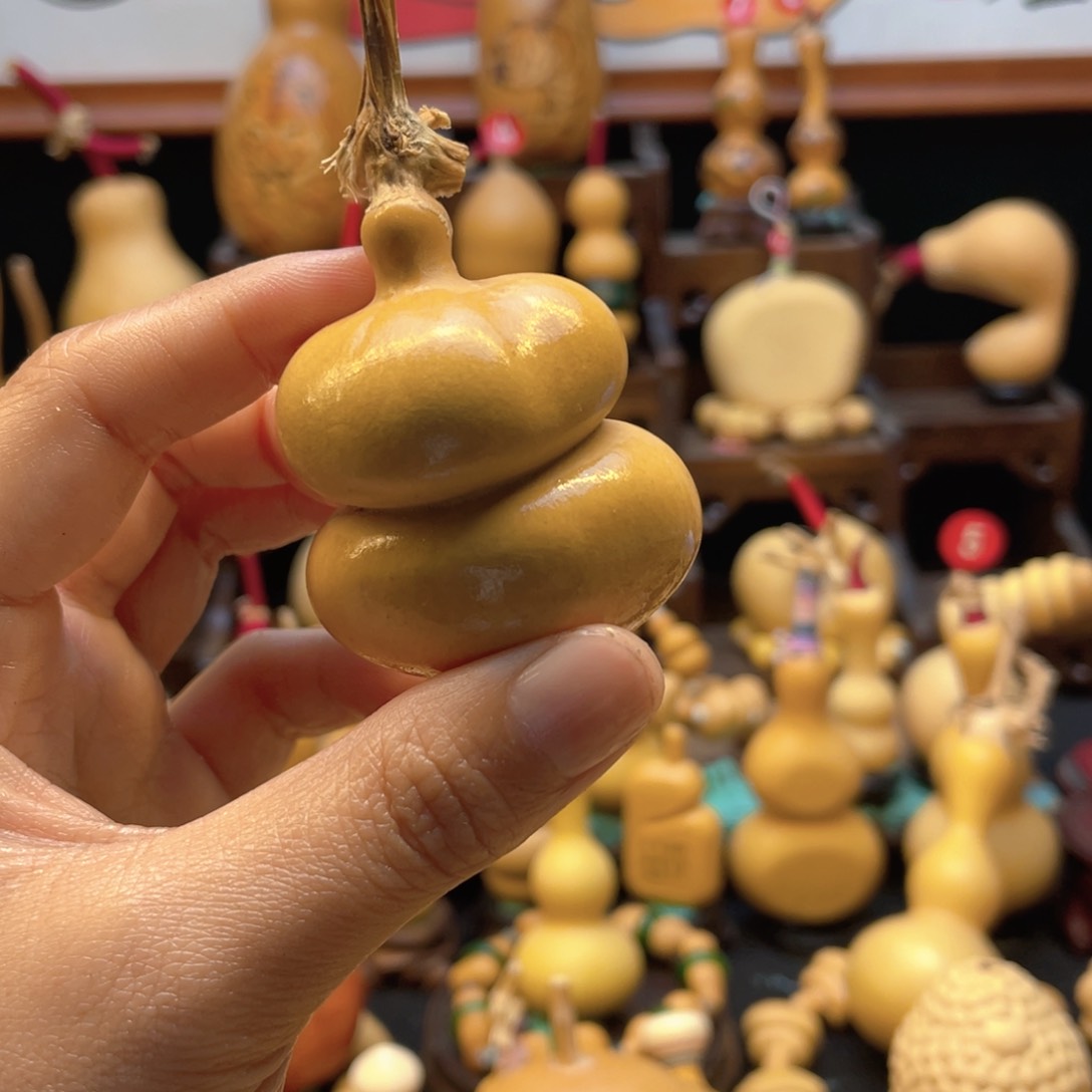 t****8大自然的秘密第十节第一节