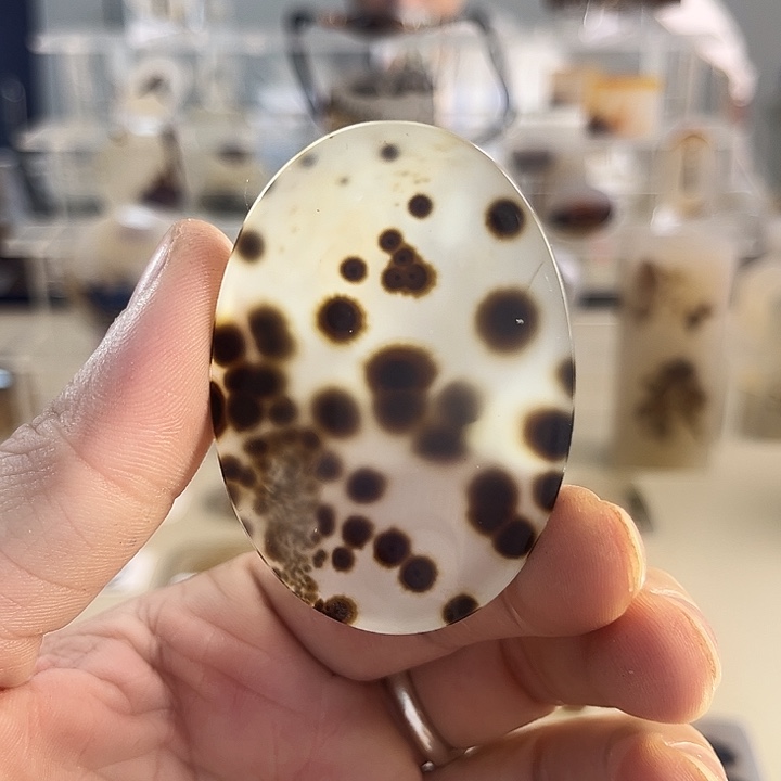 玛瑙/玉髓吊坠(不含链)未镶嵌