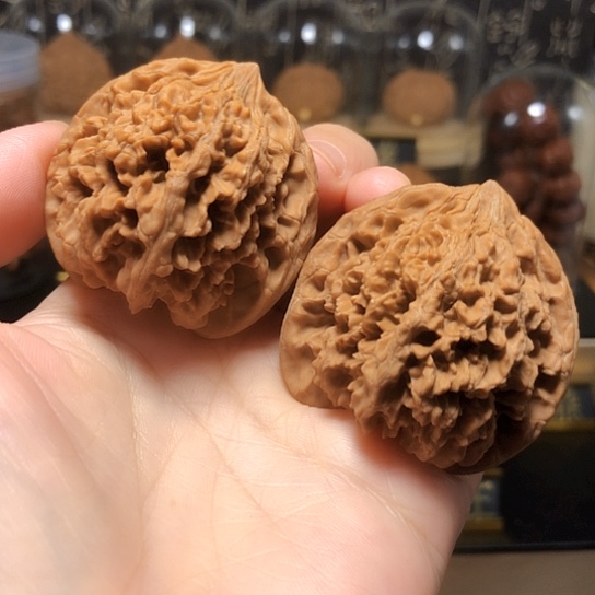 福利款：满天星全品