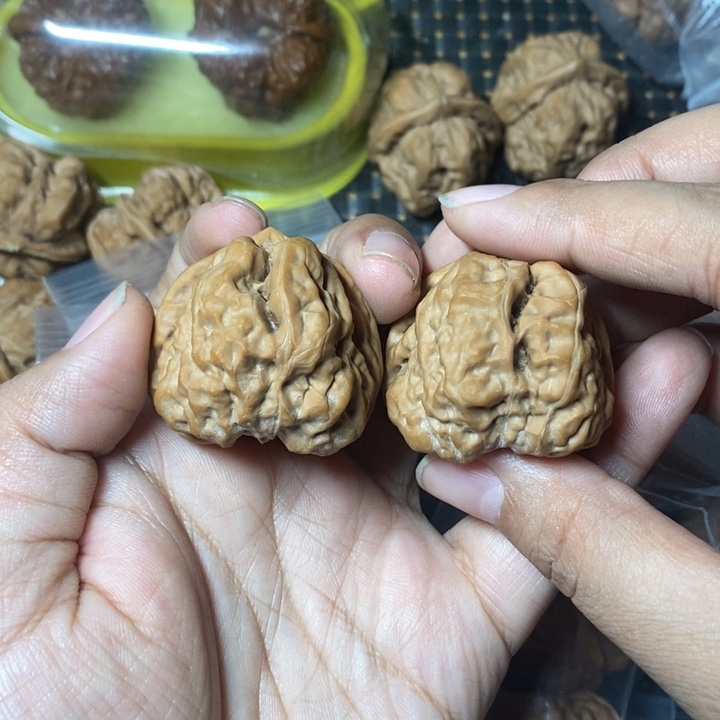 文玩核桃把件蛤蟆39