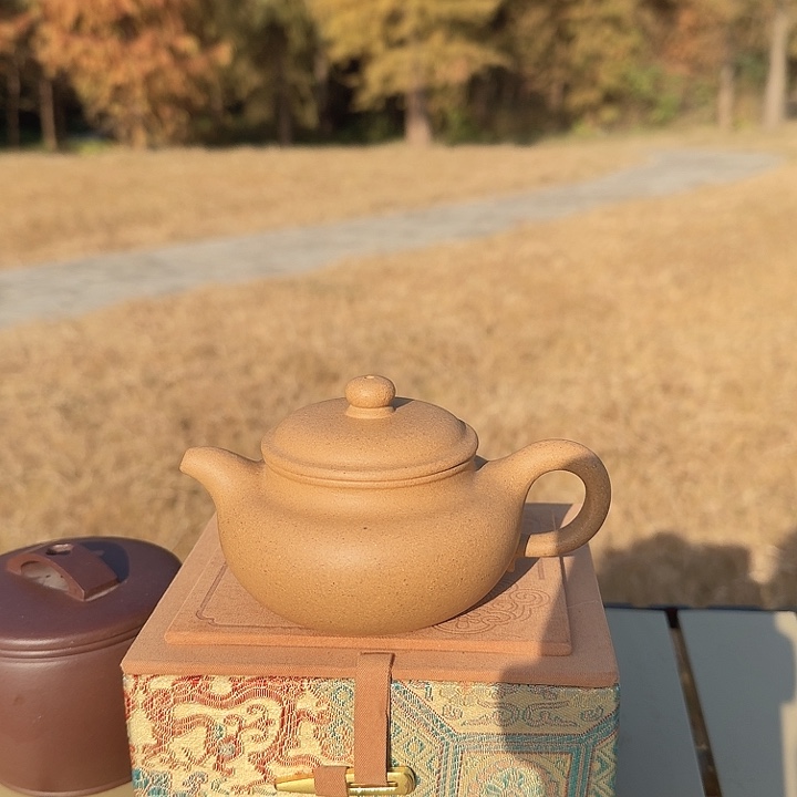 茶壶紫砂仿古段泥开播价