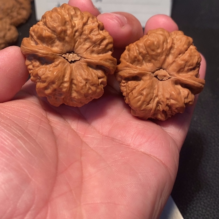 文玩核桃吊坠刘*ㅤ000000288