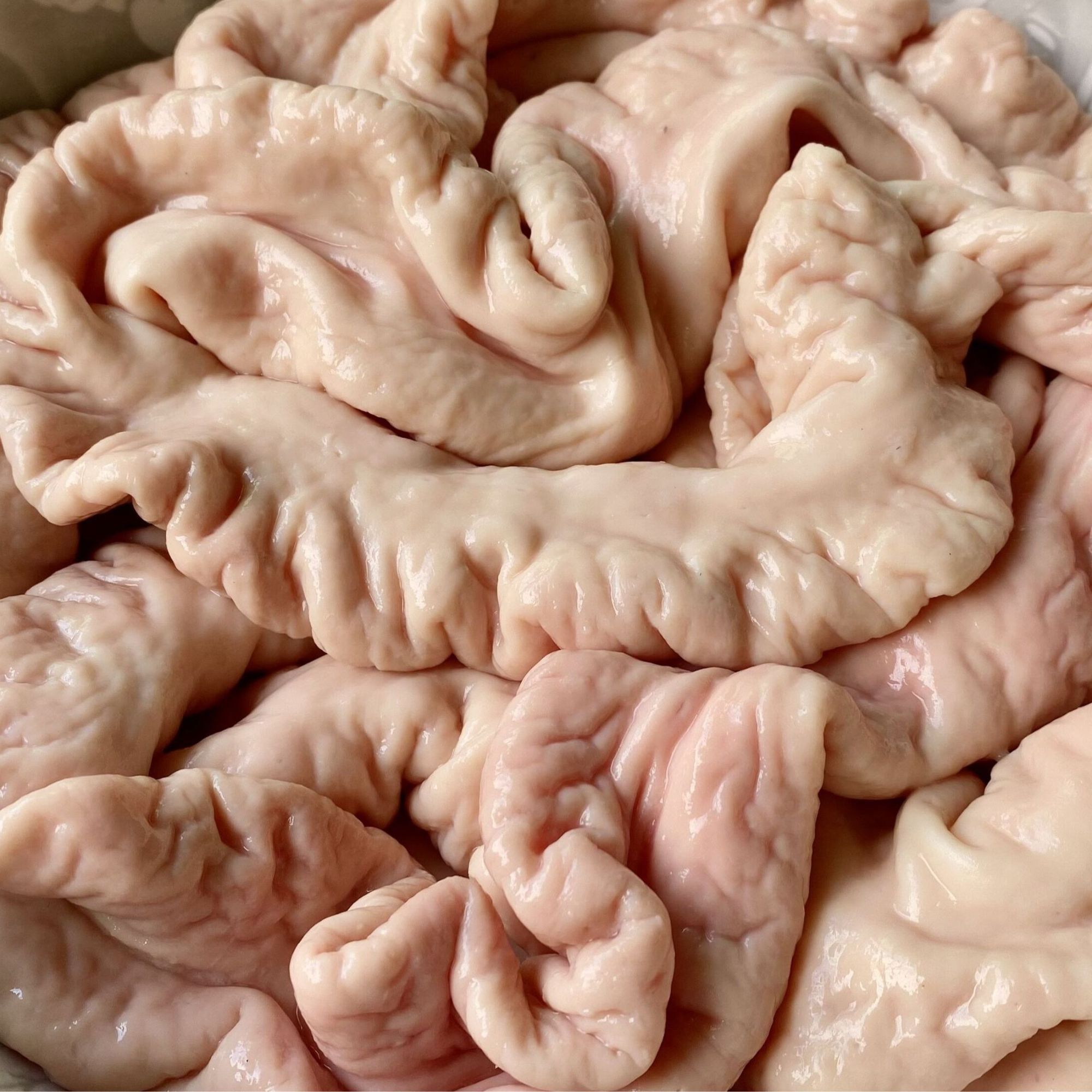 猪肠农户散养食草土猪肉【一物一拍】