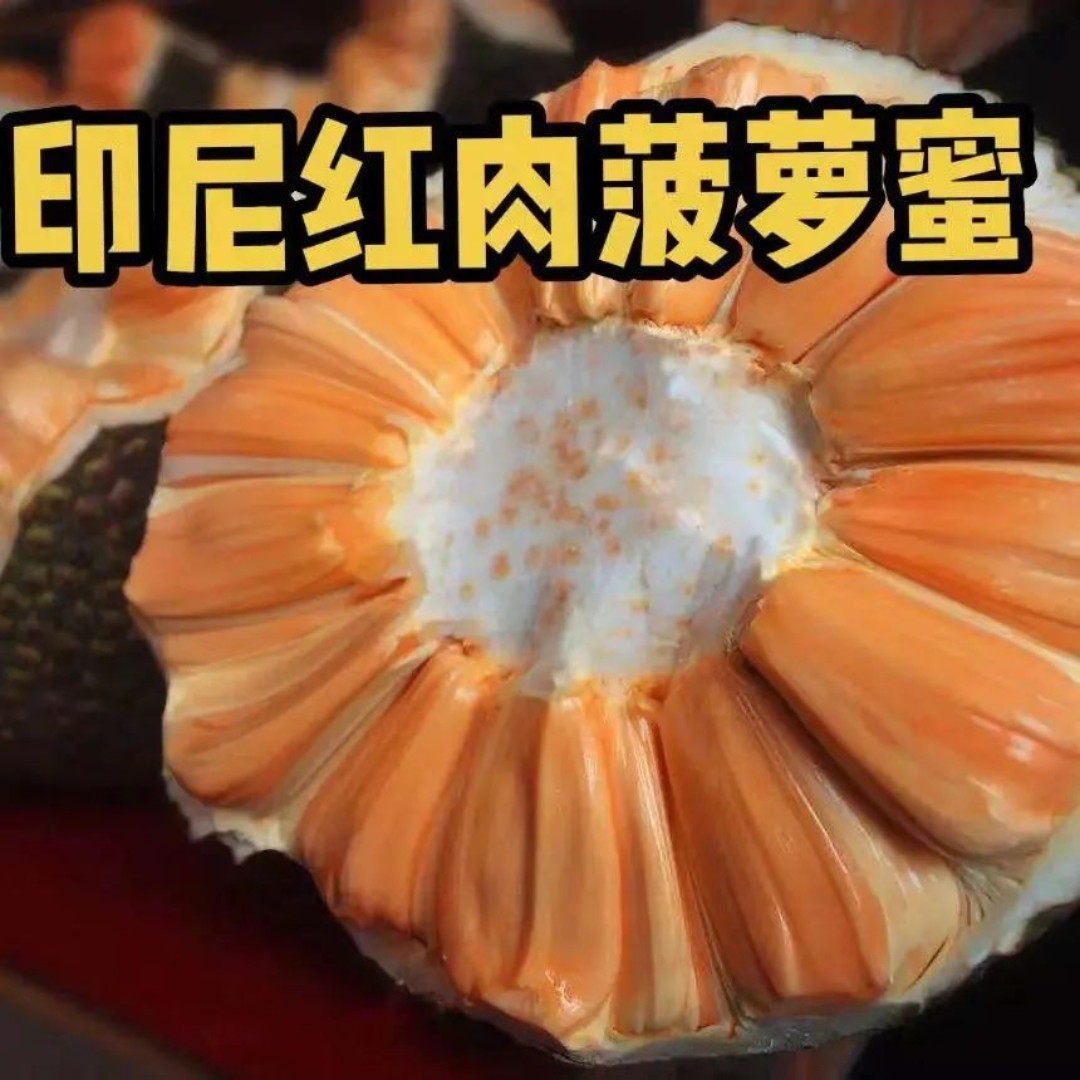 印尼红肉菠萝一物一拍红肉菠萝蜜越南社会主义共和国