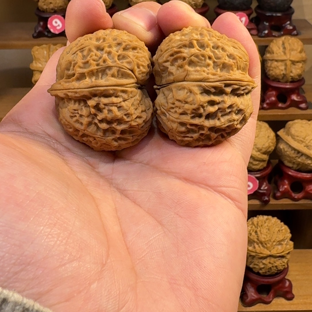 铁核桃把件龙鳞元宝43尺