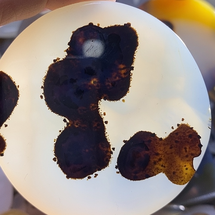 未镶嵌颈饰玛瑙/玉髓华*