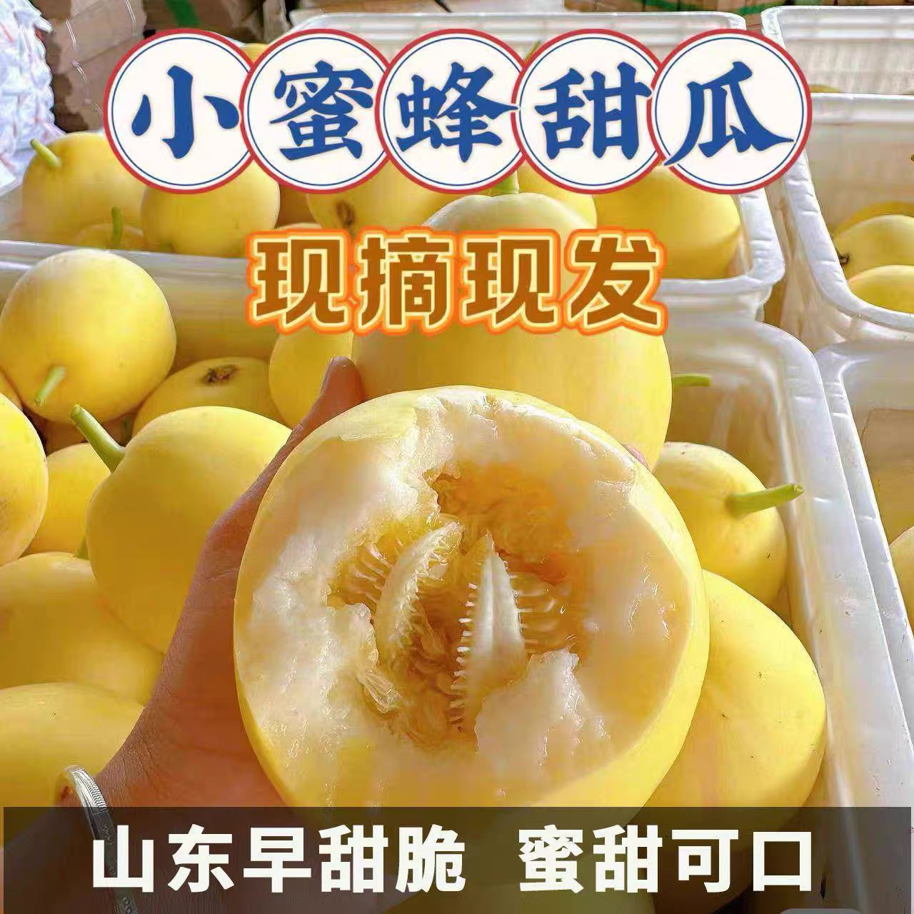 【脆甜多汁】正宗山东冷棚头茬小蜜蜂甜瓜星甜20鲜脆嫩多汁现摘现发