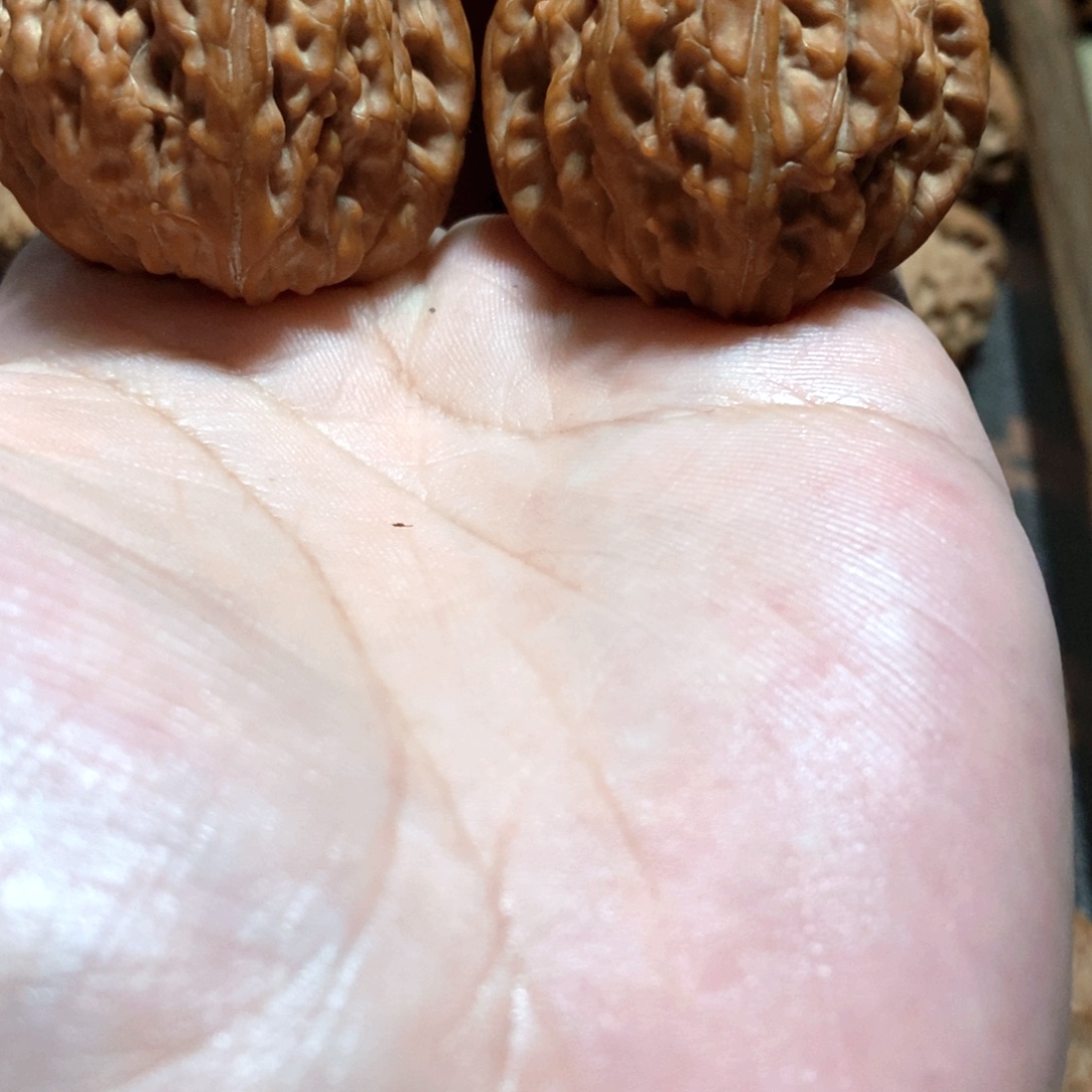 文***盒文玩核桃吊坠全品红皮山地摩山地果