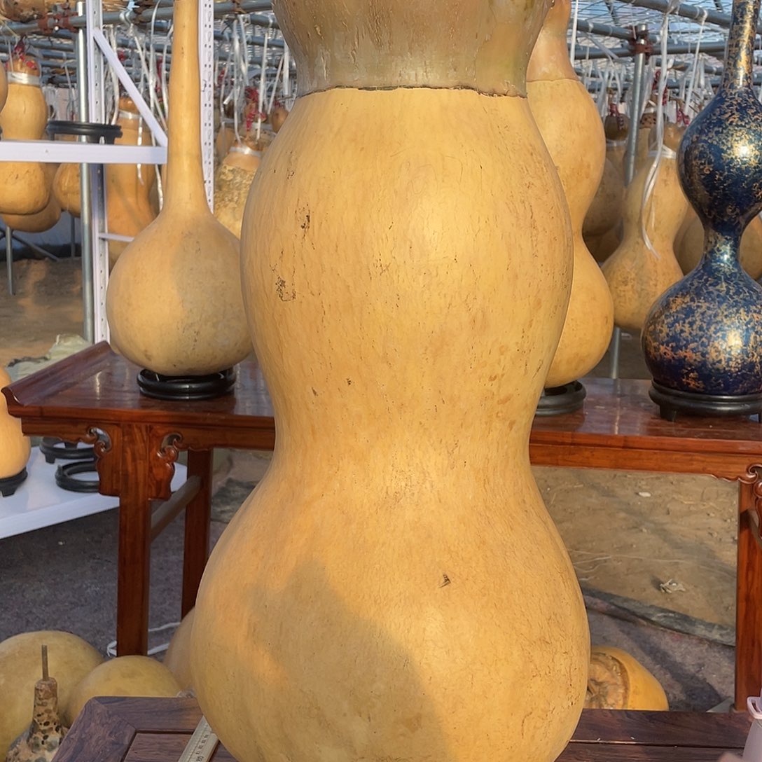 高***克木大莲花头葫芦不包邮