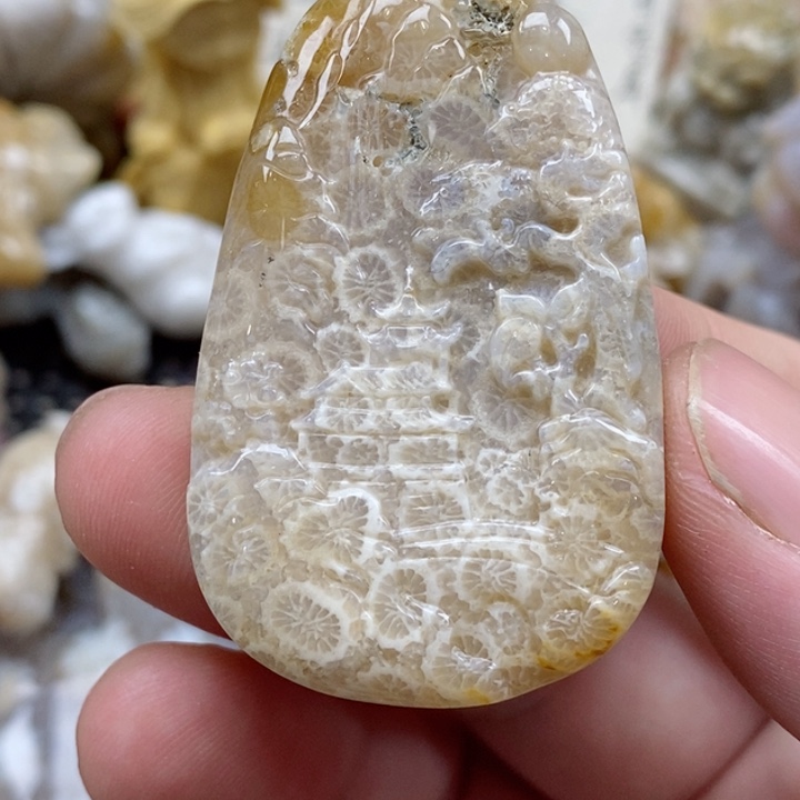 颈饰未镶嵌硅化珊瑚（珊瑚玉）有瑕