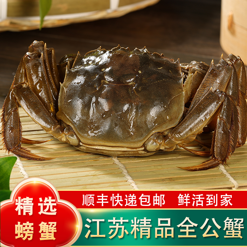 【江苏活蟹】大闸蟹公3.8-3.5两8/10只淡水蟹去绳净重礼盒顺丰包邮
