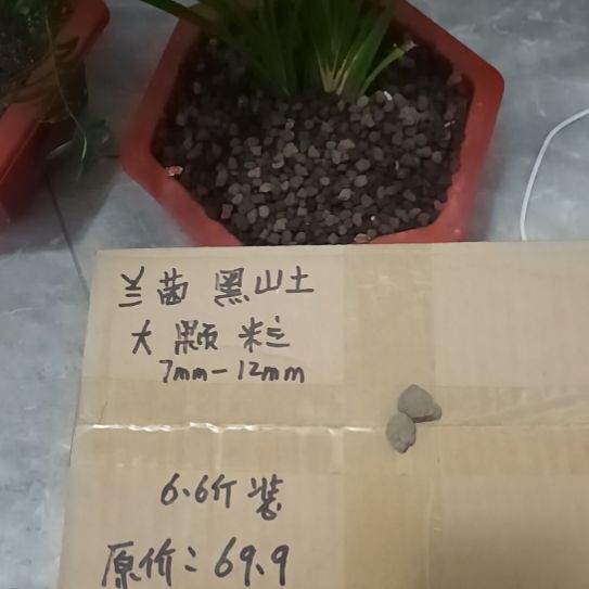 T***爺兰菌黑山土大颗粒6.6斤