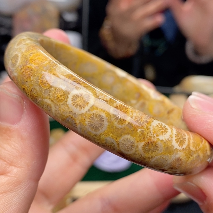 硅化珊瑚（珊瑚玉）手镯未镶嵌58