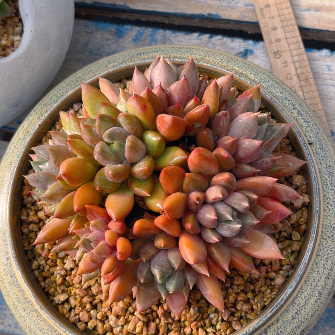 【闪购商品】1111111111