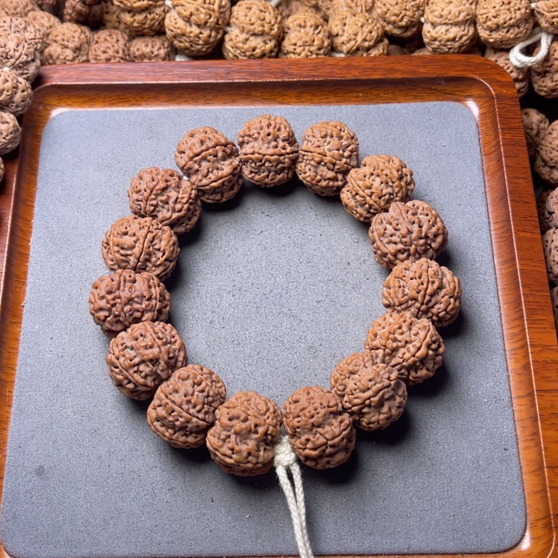 用***2菩提籽类11号金刚菩提七瓣25