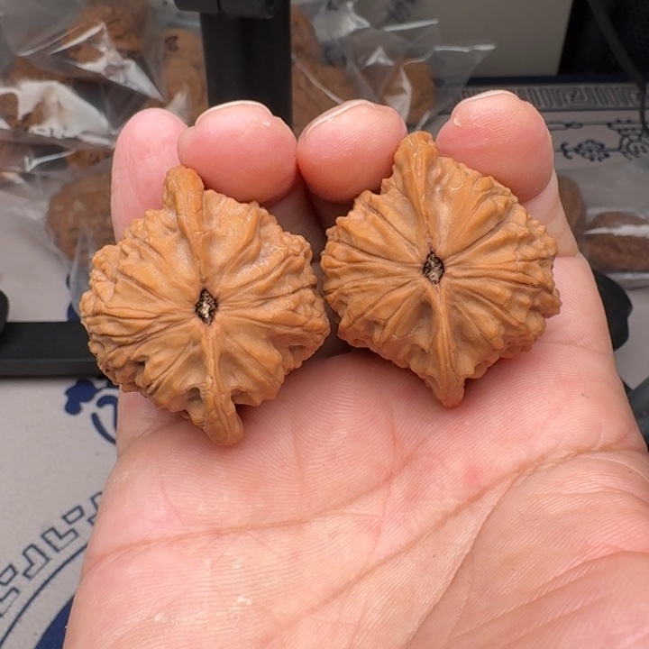 把件桃核山地公子帽42+尺13