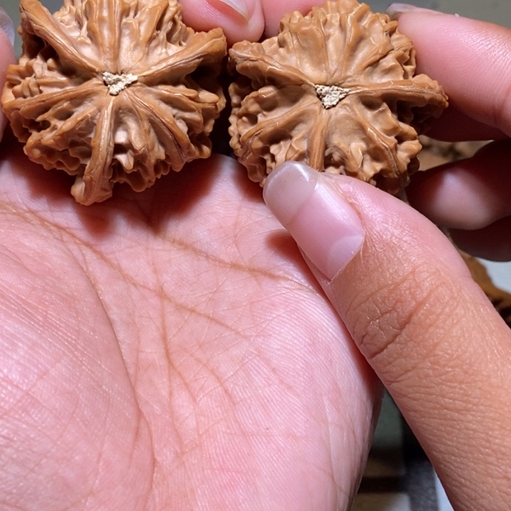 @***g核桃手串/手链三棱