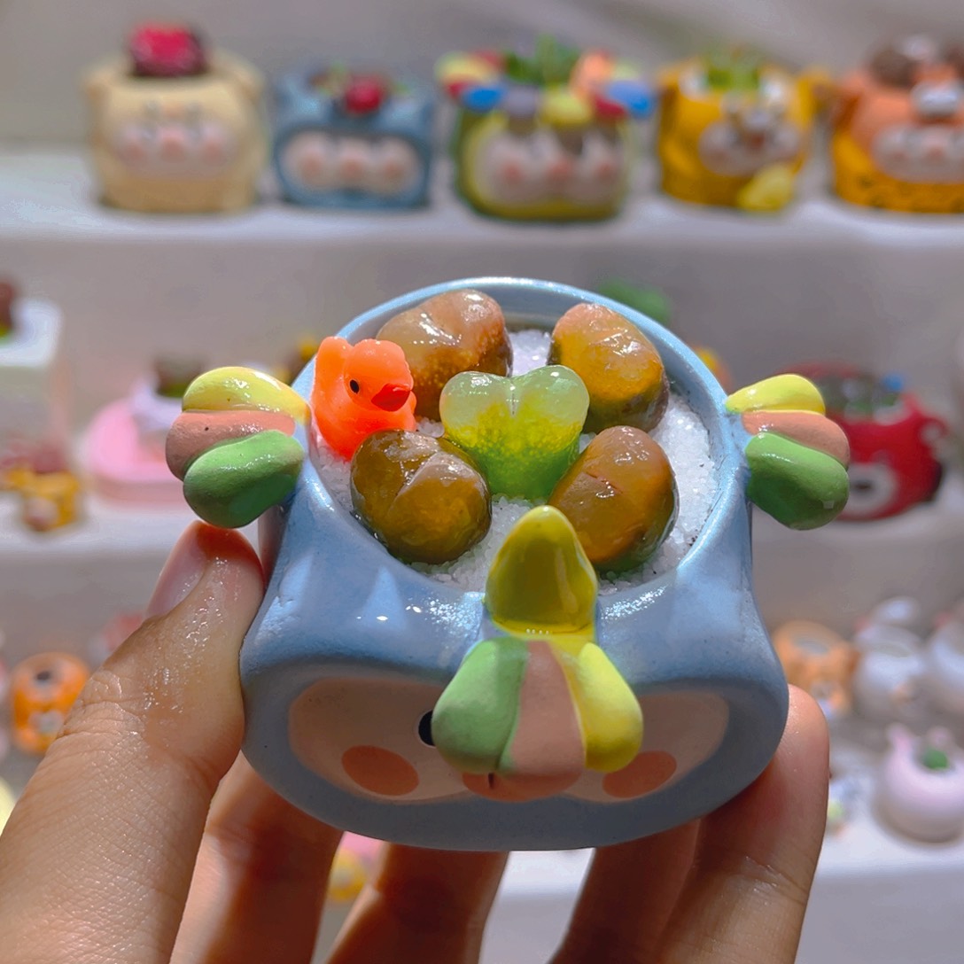 009高端多肉带盆土一套48