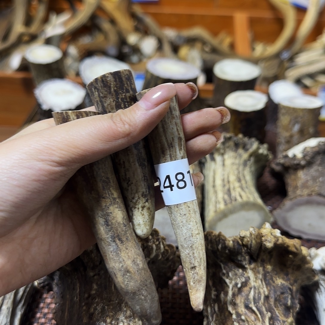 手串/手链鹿骨角尖2481